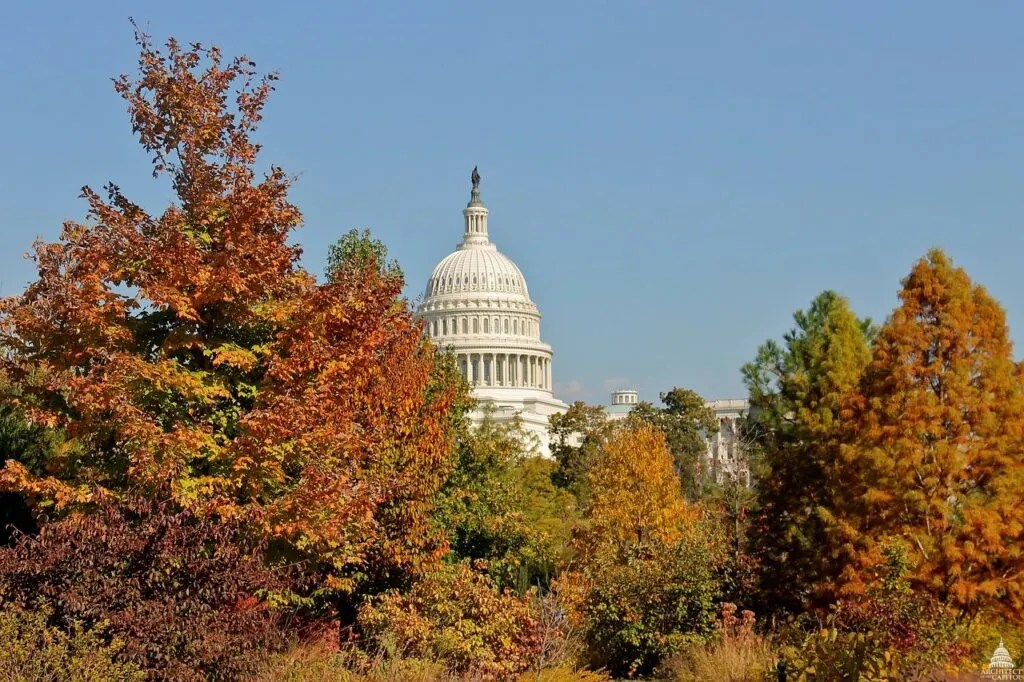 23 Best Fall Vacations In The US For Your Next Trip 7 washington dc best fall destinations in the us