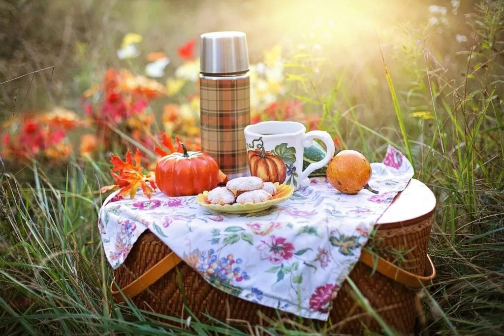 Traveling Solo In Paris- Ultimate Guide To Taking A Solo Trip To Paris 11 paris picnic