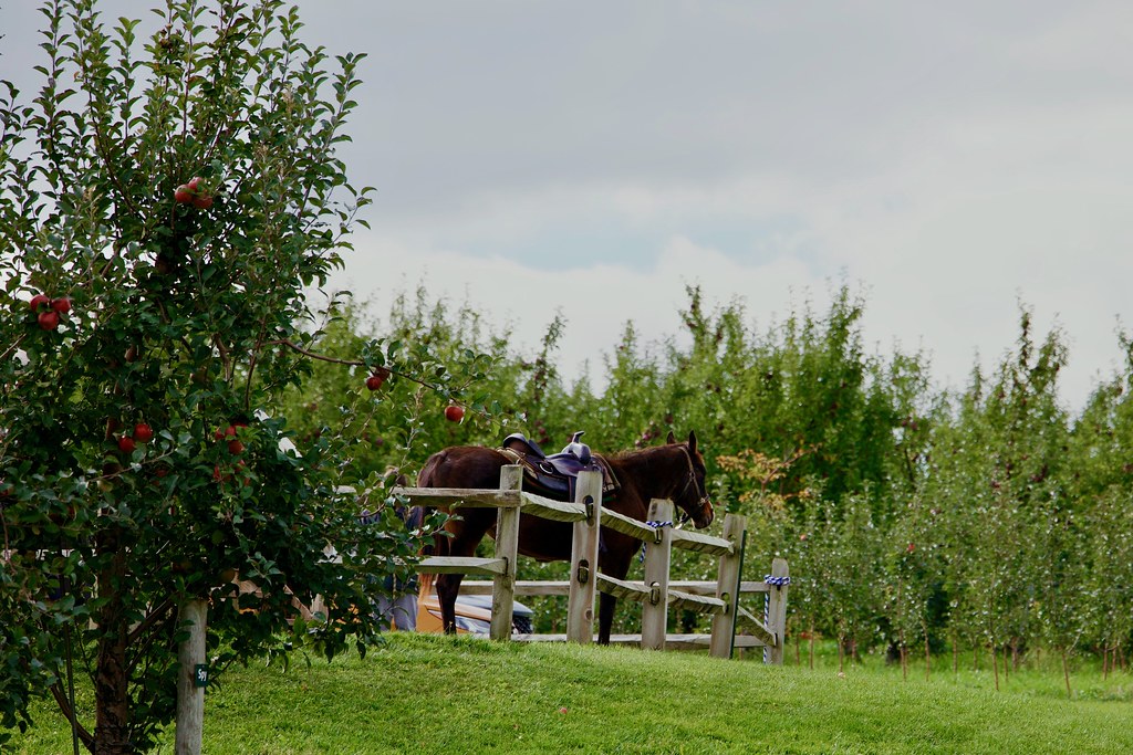 17 Best Farms In Upstate New York For A Unique Farm Experience 2 Beak & Skiff