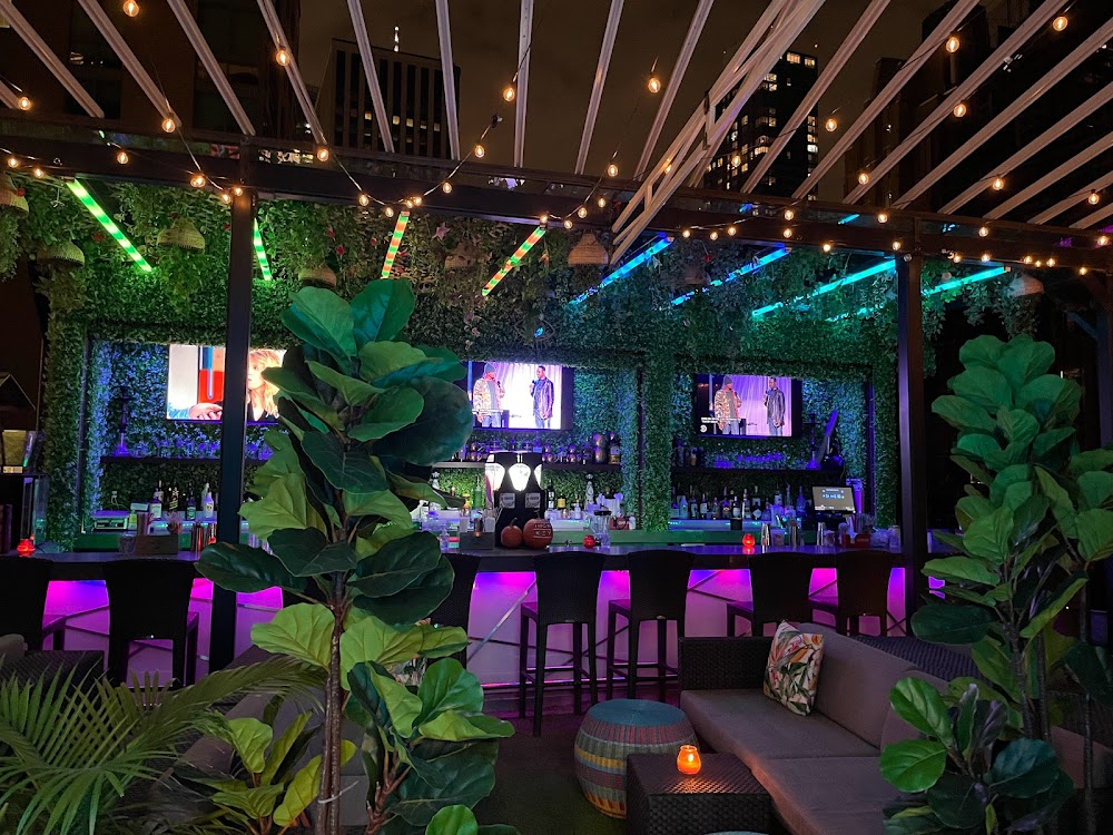 27 Best Themed Restaurants In New York For A Different Experience 18 Highkey Rainforest Rooftop