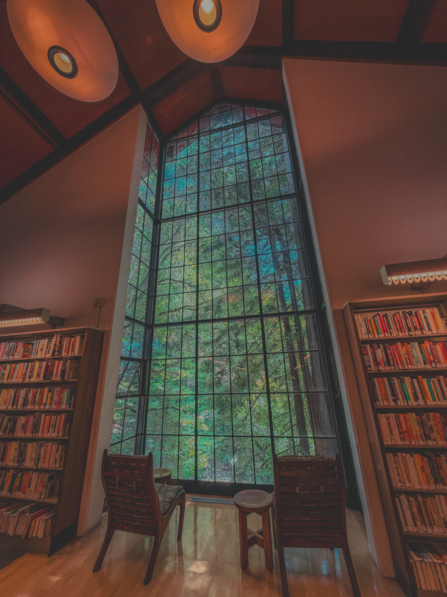 views from the Mill Valley Public Library in California