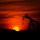 Oil and Gas Past Questions and Answers- Download in PDF.