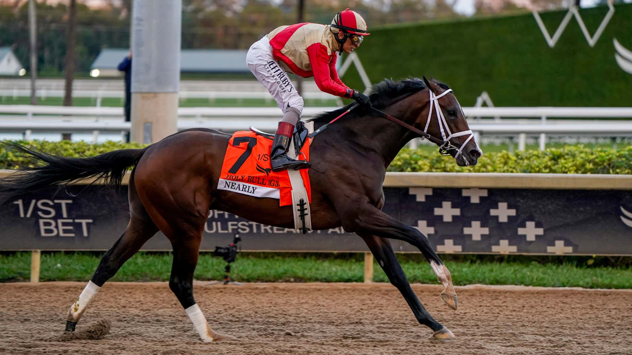 Response to the Sacred Bull – Past The Wire TV