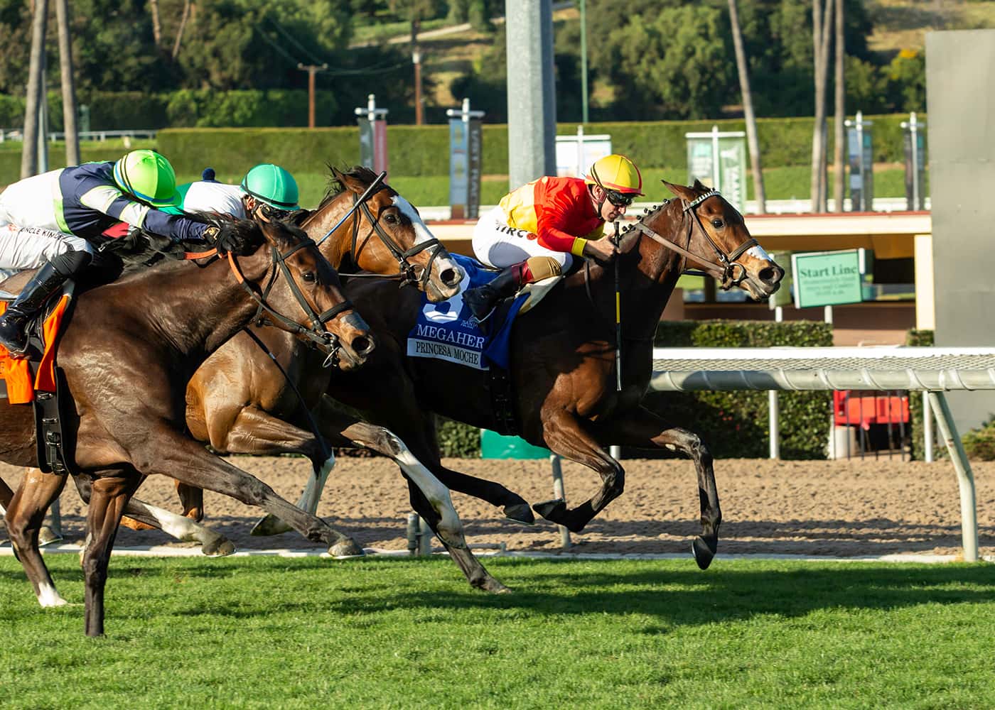 Princesa Moche rules in Megahertz stakes