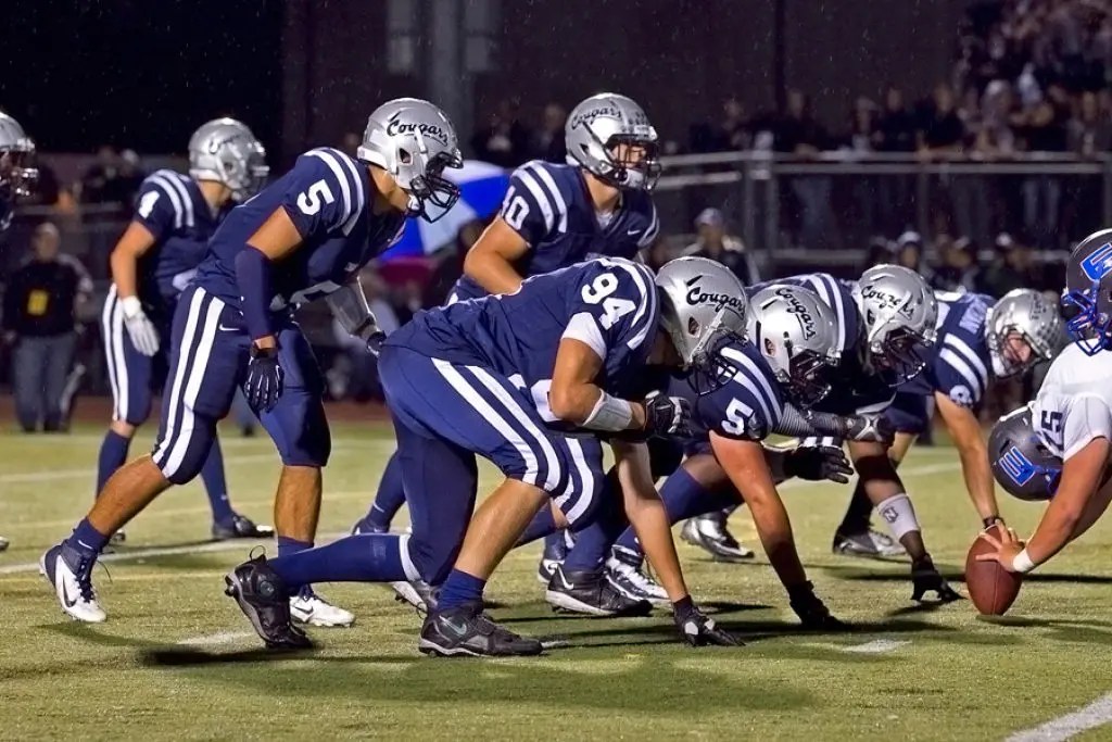 Dakota high school football 2012