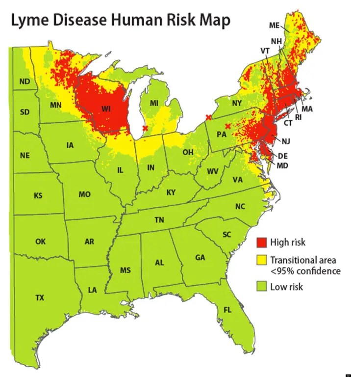 Map Shows Connecticut A High Risk For Lyme Disease The Haddams CT 