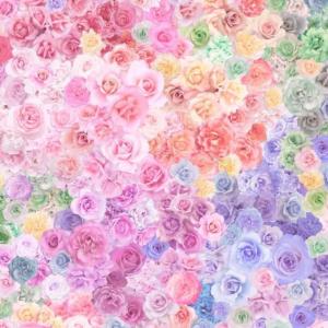 Moda Gradients Parfait 41-12