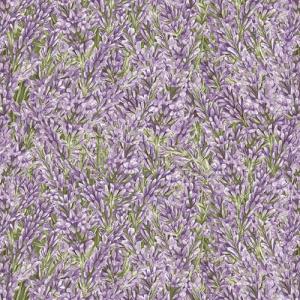 HG Lavender Garden Purple