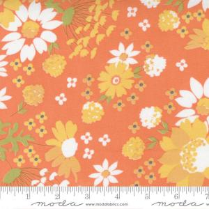 Moda Cozy Up 20-12