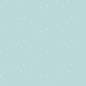 Riley Blake Designer Flannel 12B