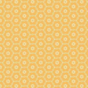 Riley Blake Shades Of Summer 85GD