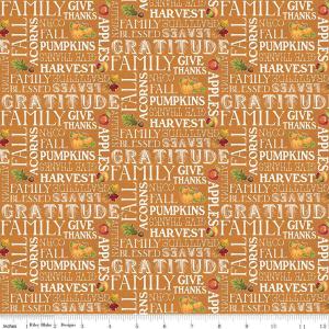 Riley Blake Monthly Placemats 21O