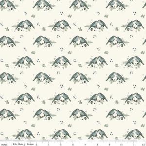Riley Blake Gingham Fields 51-Cream