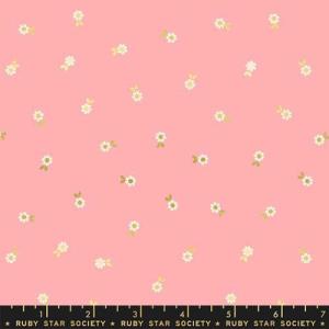 Ruby Star Society Curio 66-12M