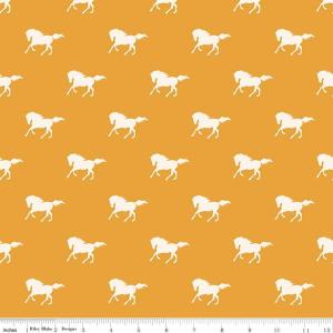 Riley Blake Santa Fe 82-M