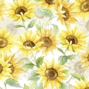 Shannon Minky 60" Sunflowers Cloud Cuddle
