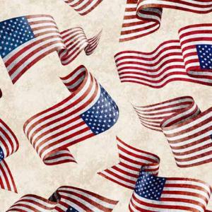 QT American Spirit 29-E