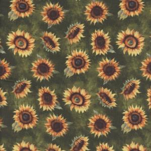 Wilmington Prints Sunkissed 17-725