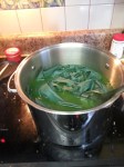 Dye bath