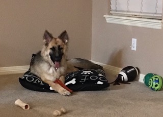 Speed elephone how update set to watch smart t5 weight e702 flash