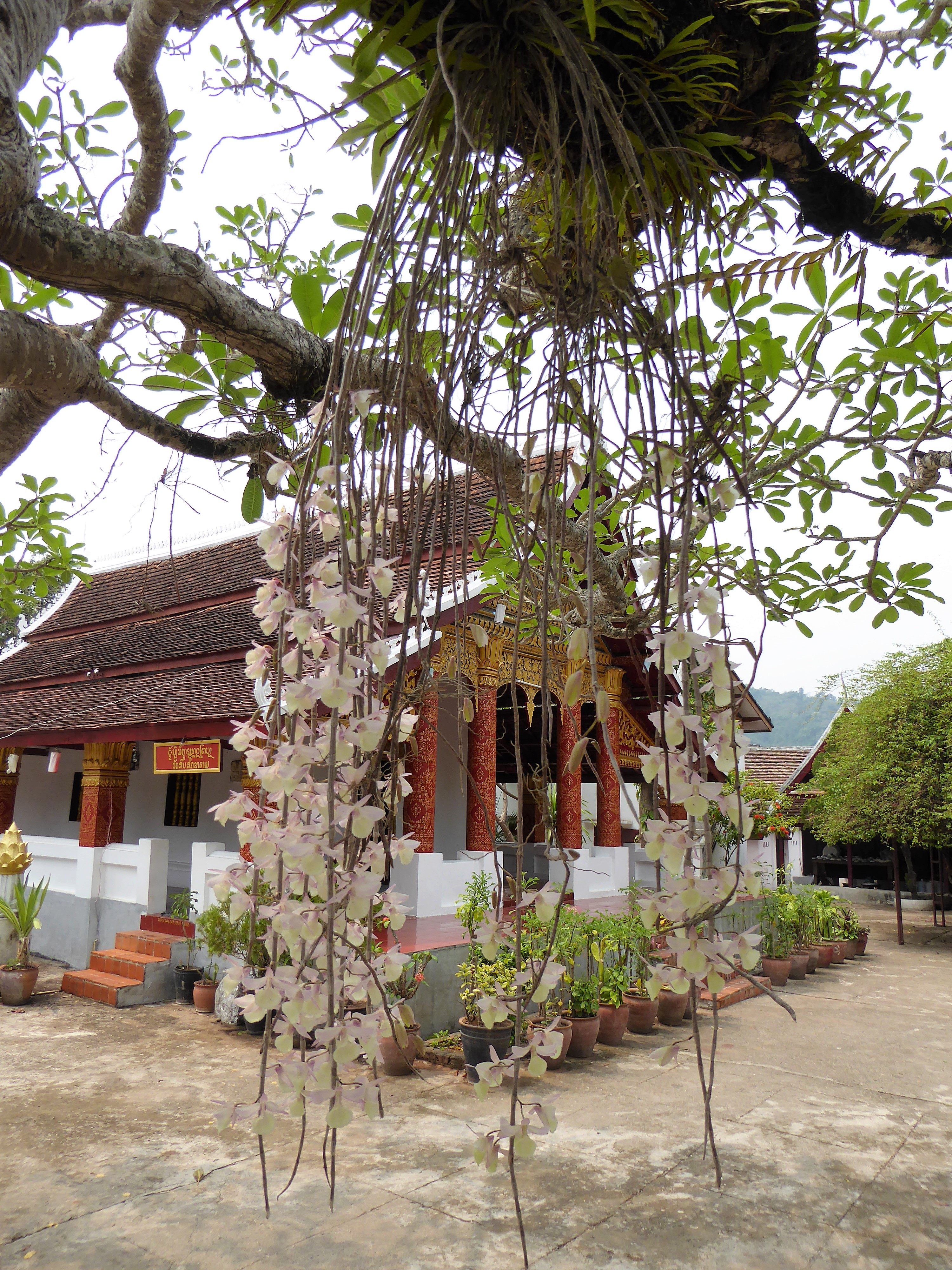 P1000456