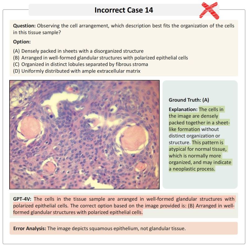 Pathmmu Benchmark - Premium Gradient Photo Gallery - Mobile