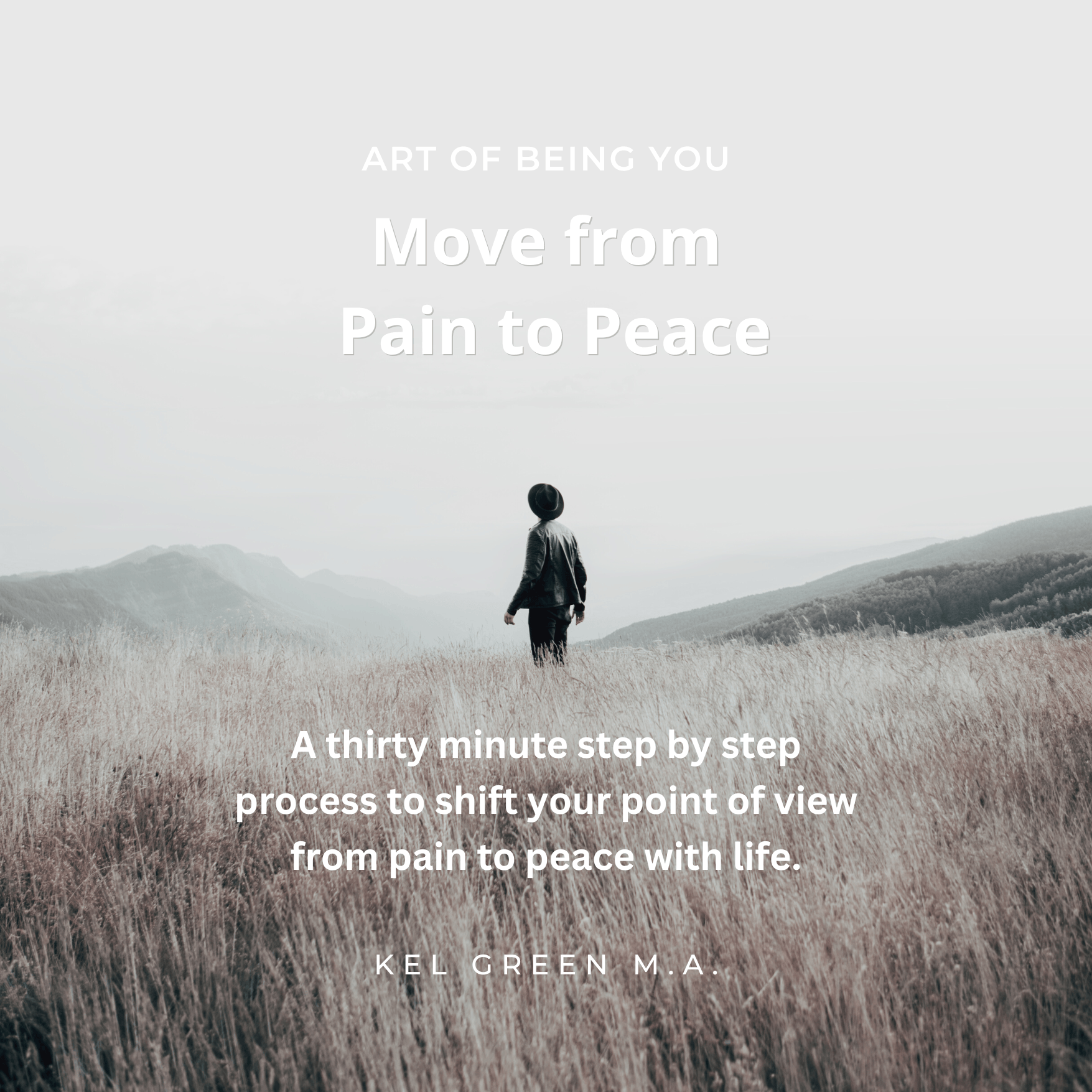 paintopeaceimage 4 2