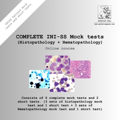 INI-SS mocks cover