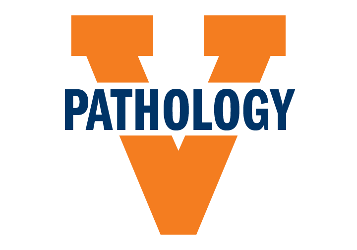 Large orange letter V with the word PATHOLOGY in bold navy blue capital letters across its center on a light background.