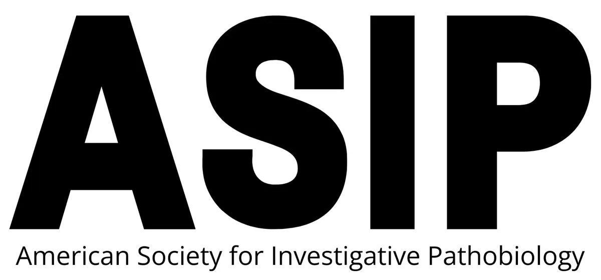 Large bold letters ASIP with American Society for Investigative Pathobiology written below in smaller text on a white background.