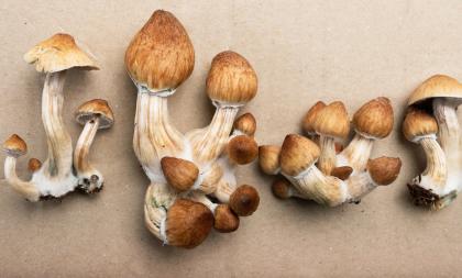 Pathwise Industry News Pathwise - Modern Ultra HD Geometric Arts | Free Download