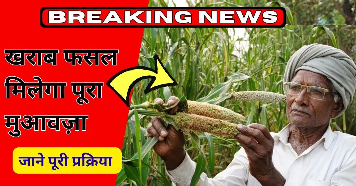 अभी-अभी जारी नोटिफिकेशन किसानों को मिलेगा पूरा मुआवज़ा – PM Fasal Bima Yojana 2025 का लाभ उठाएं