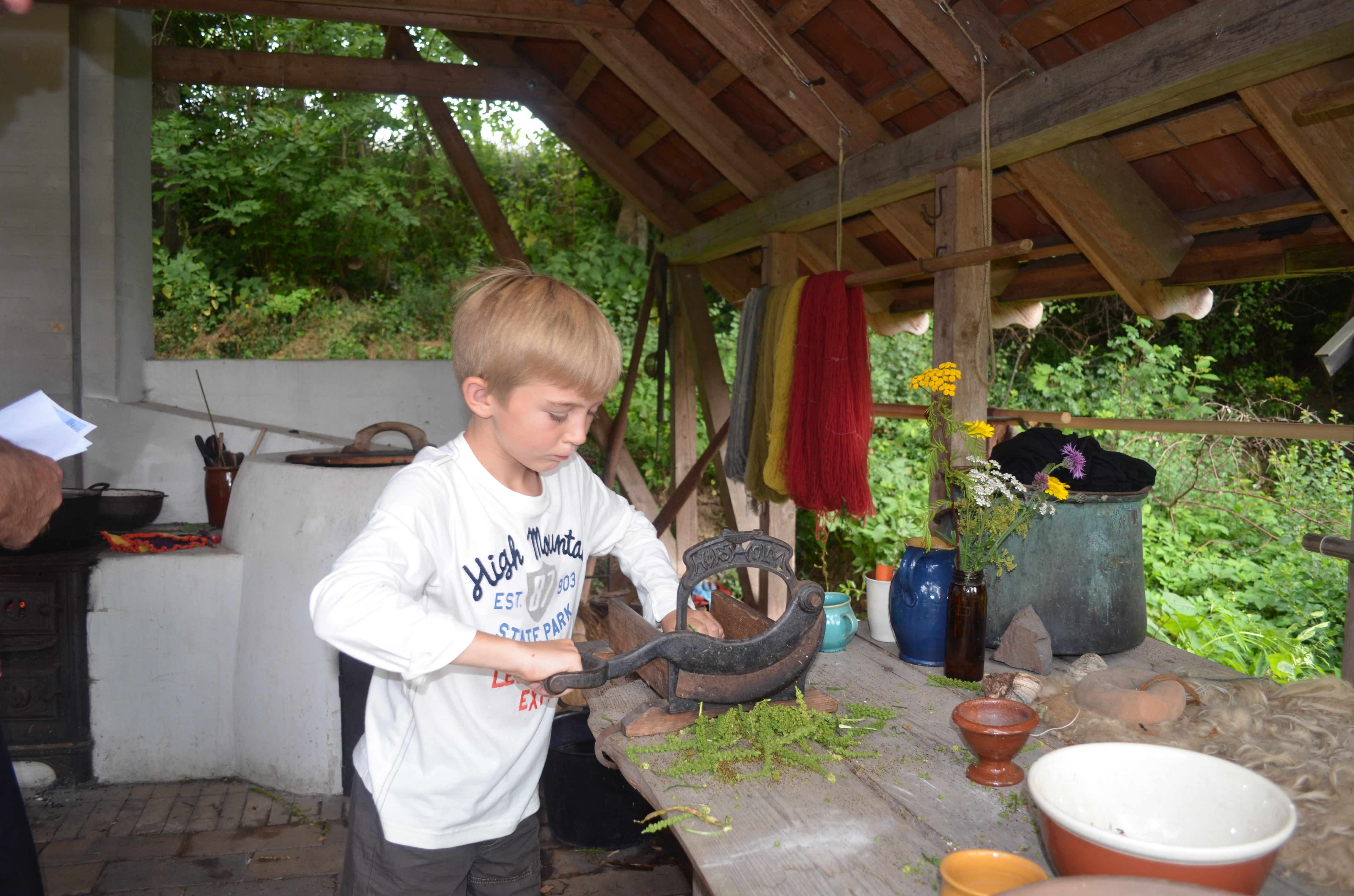 Chopping plants to make yellow dye for yarn.