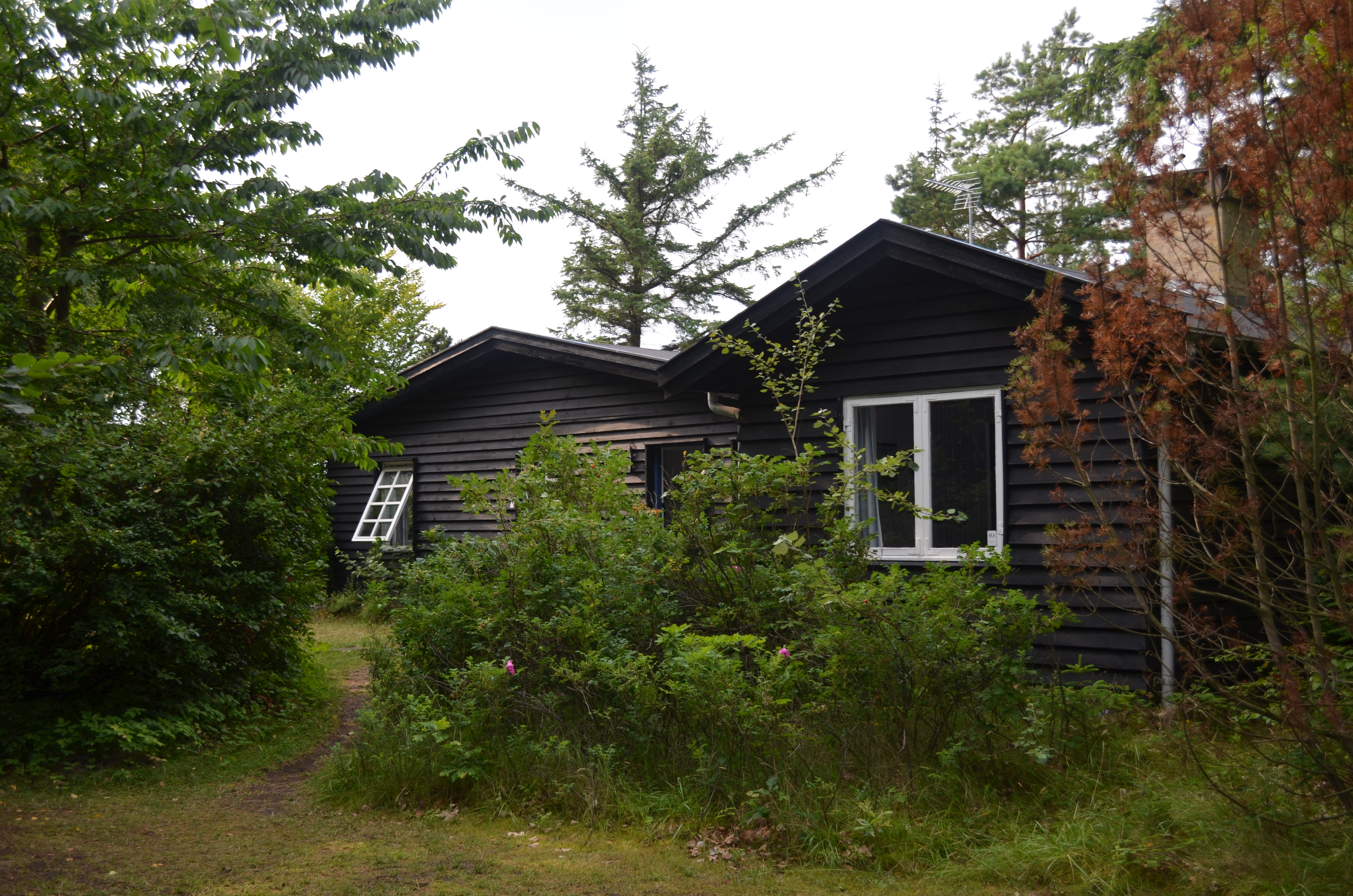 It reminded me so much of the house on Cross Lake.