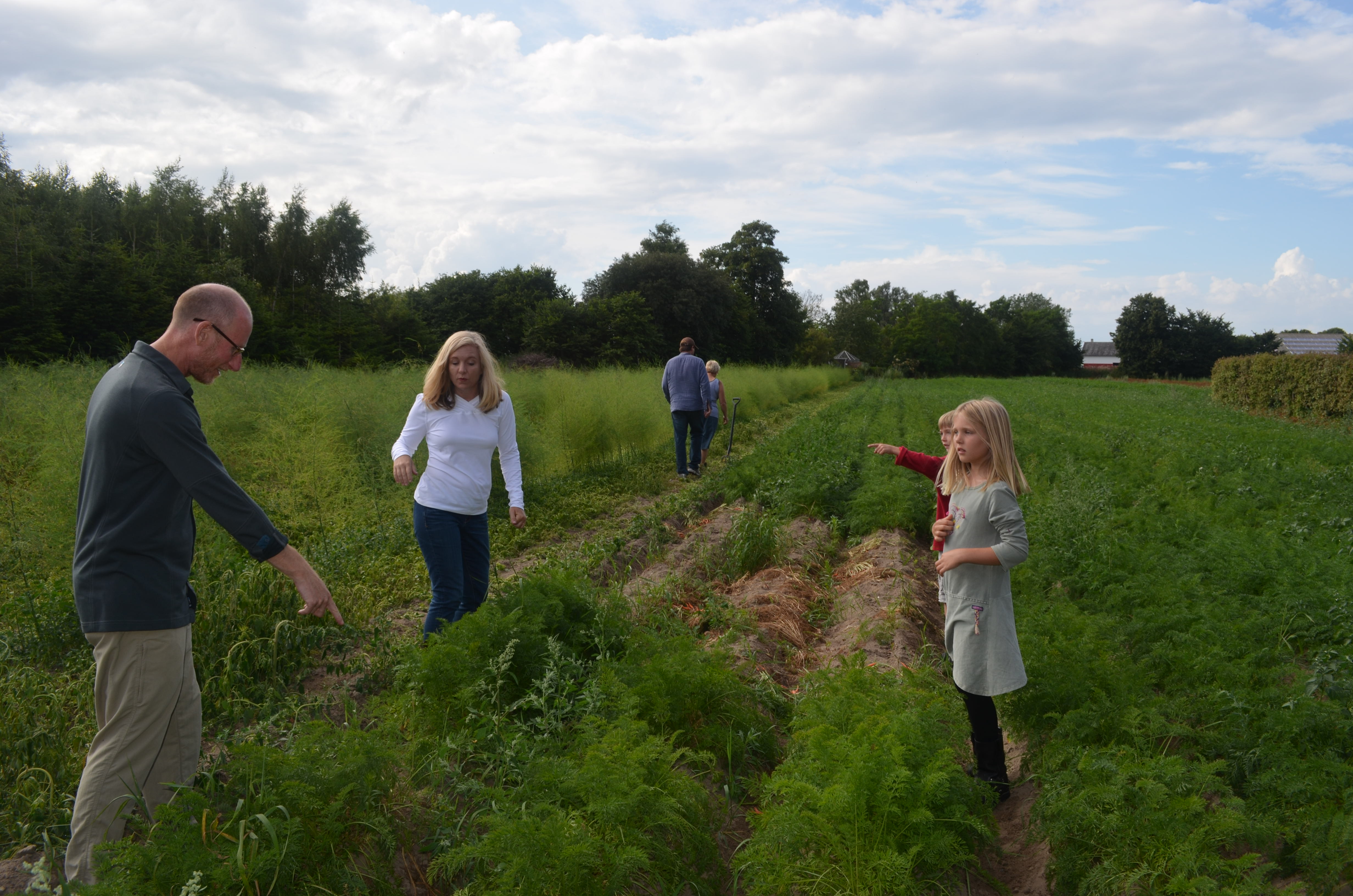 So we went into the fields to pick some.