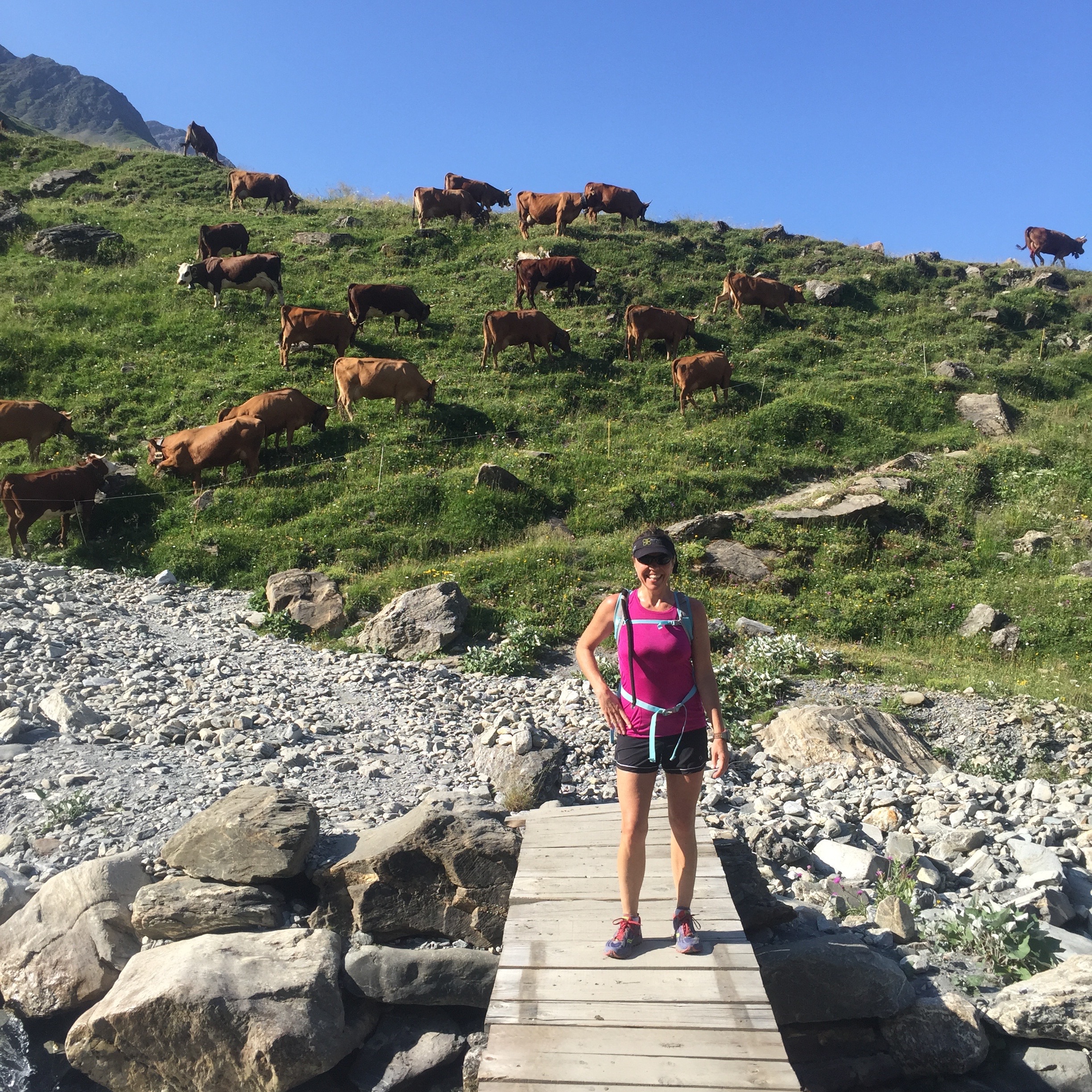 Lori and the cows.