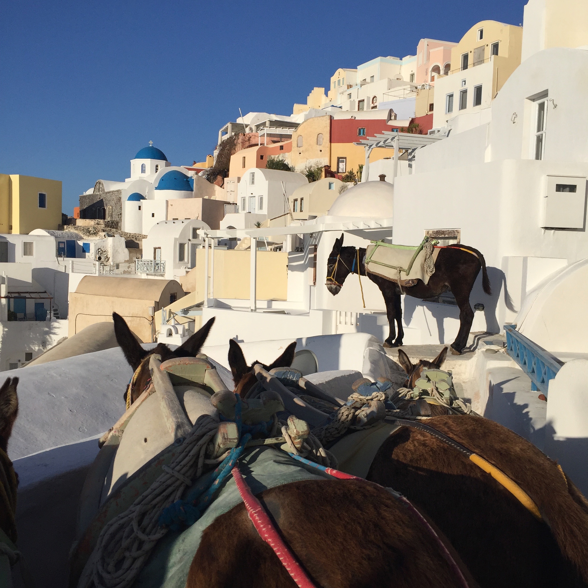 Traffic jam.
