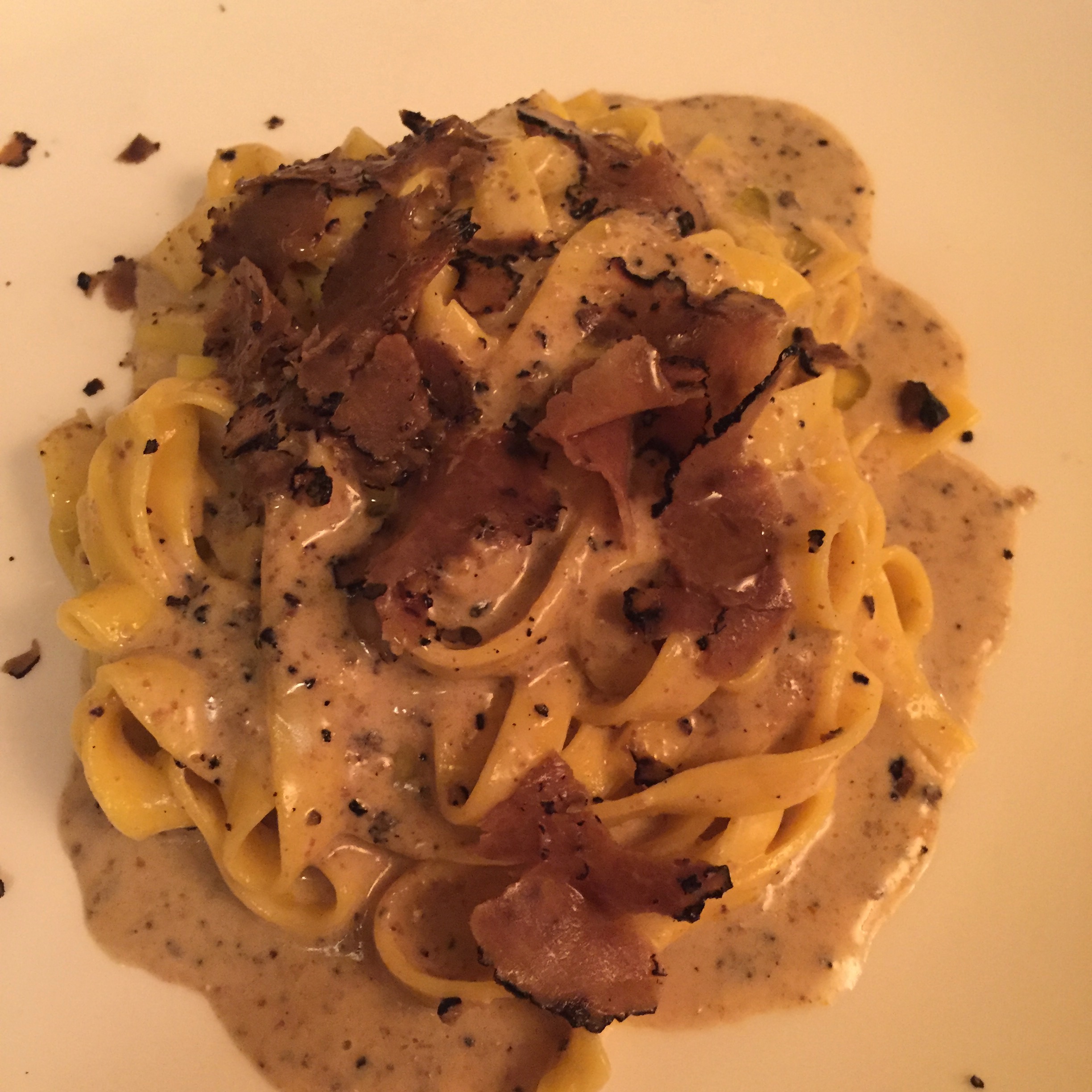 My favorite meal ever. Taglietelli with mushrooms and truffles.