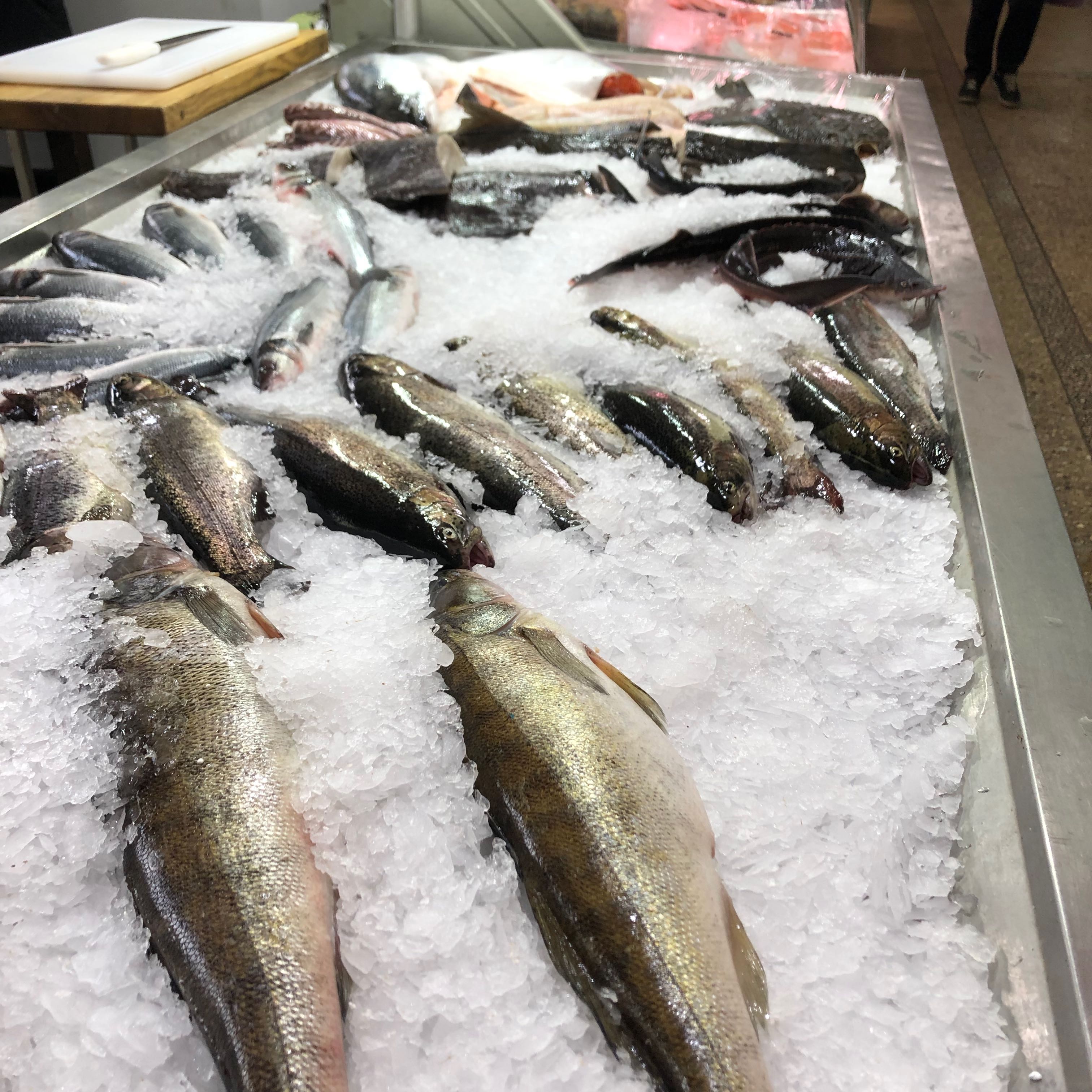 Fish Shop