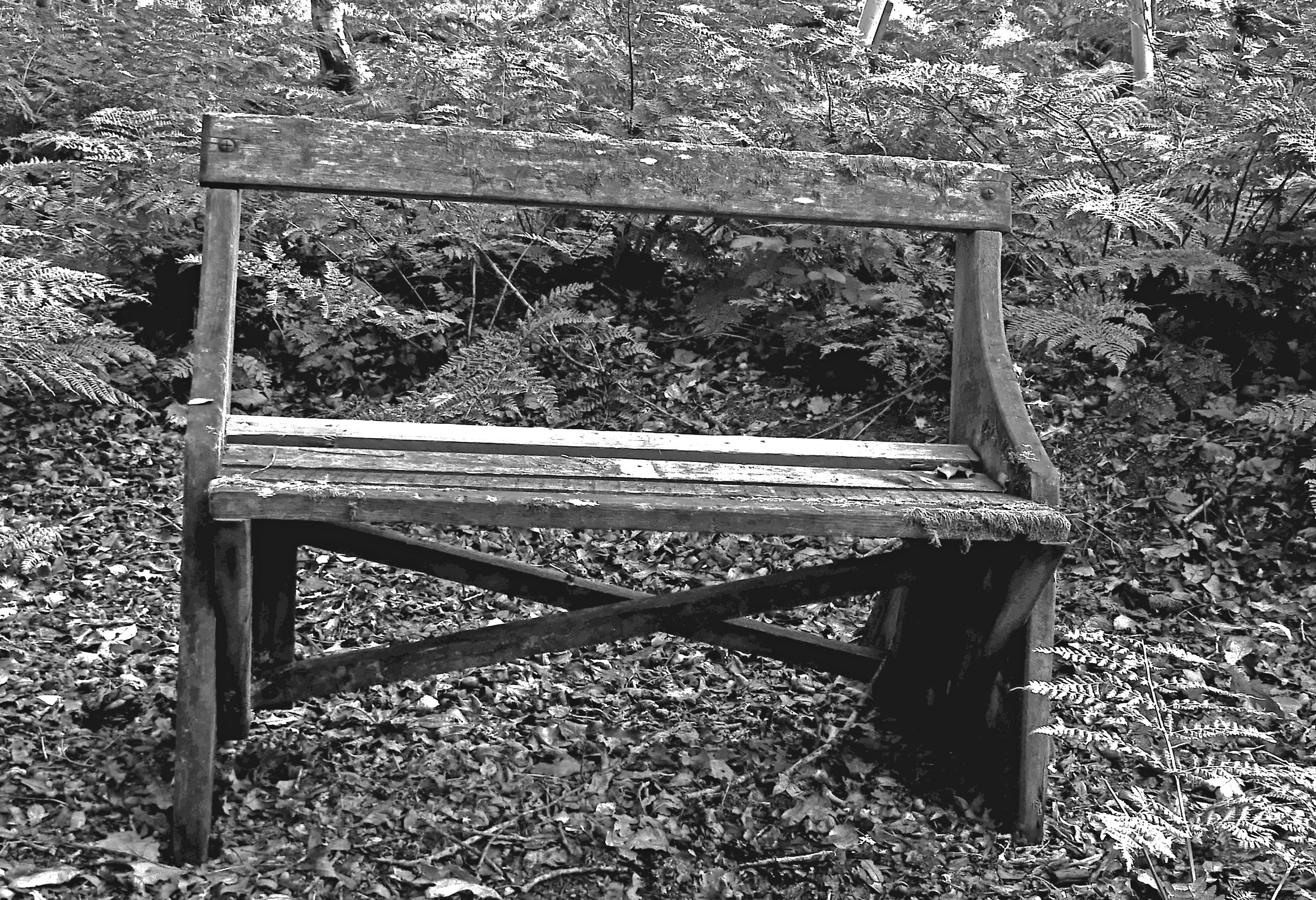 bench 300_edited-2
