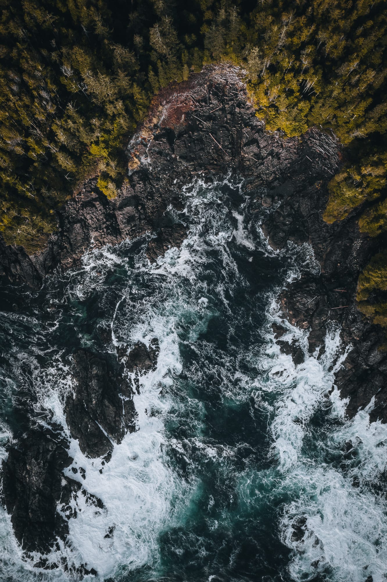 Northwest 41