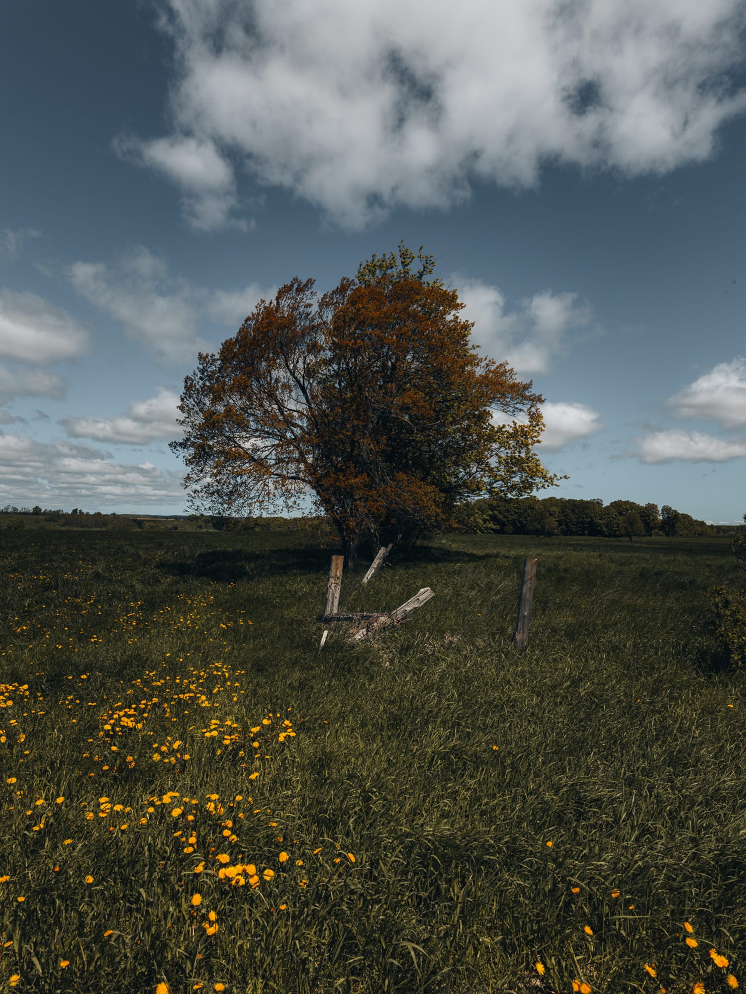 Rural 17