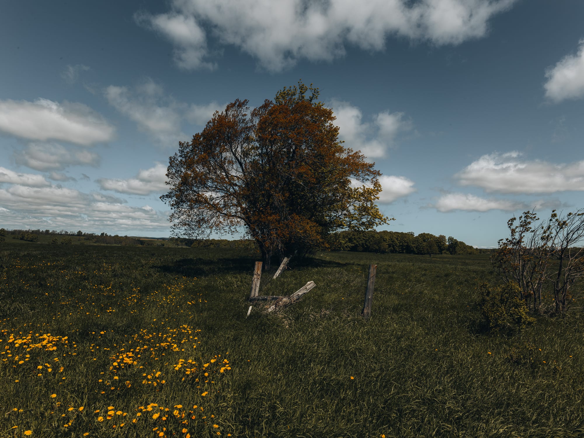 Rural 05