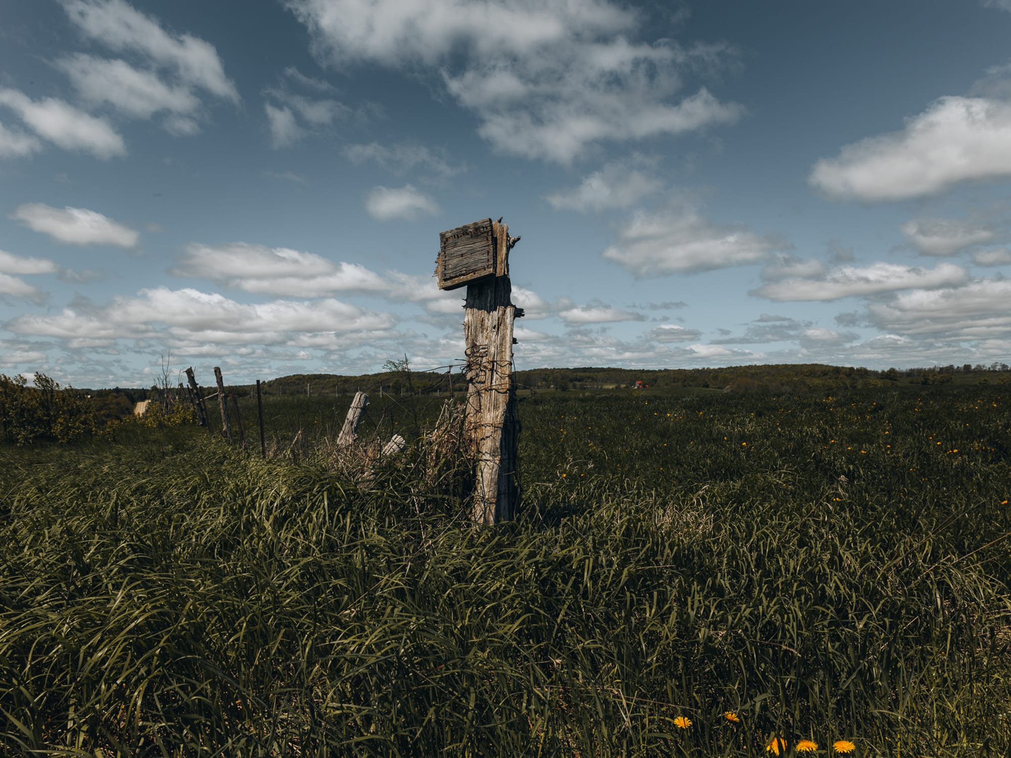 Rural 03