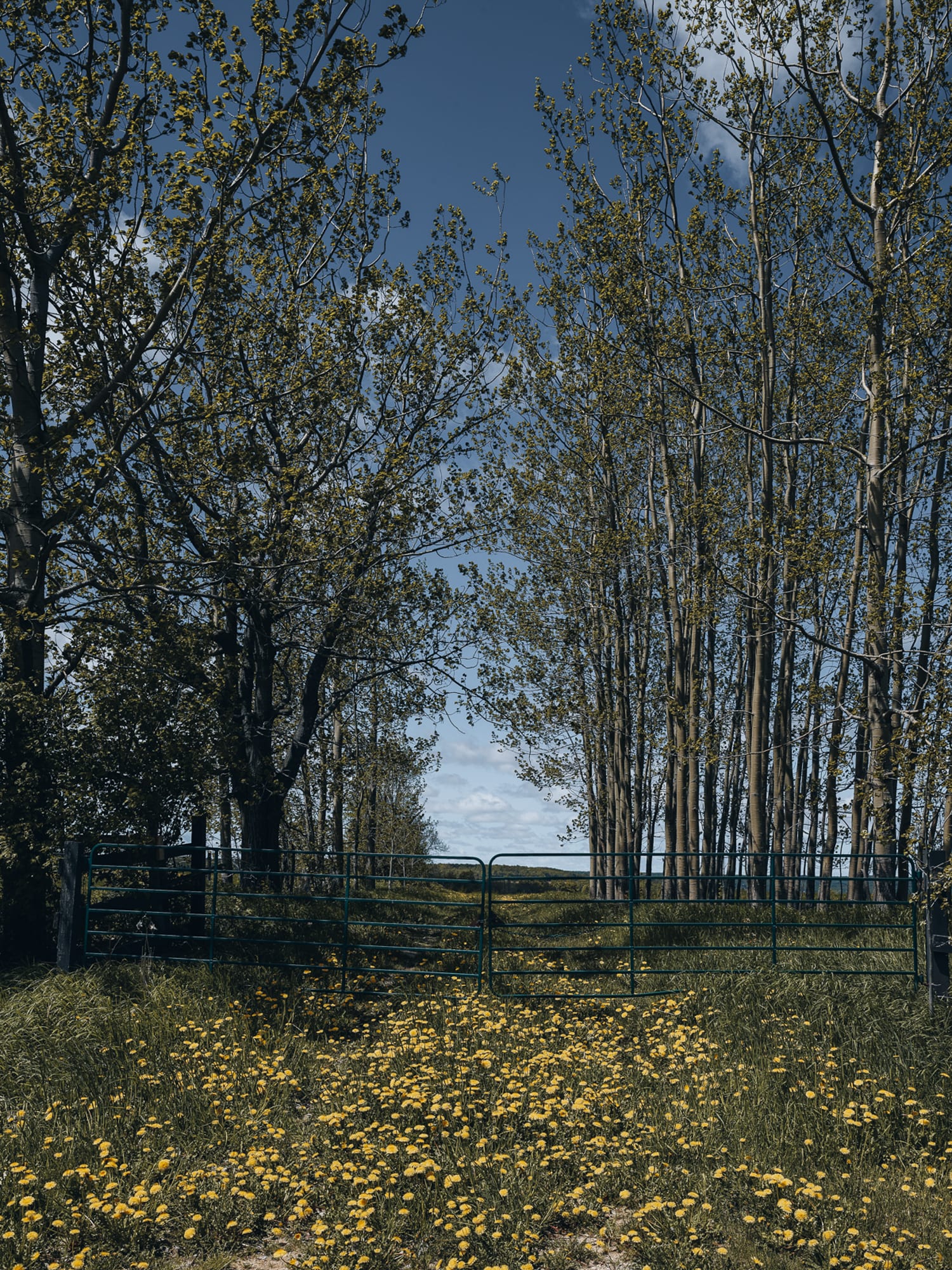 Rural 04