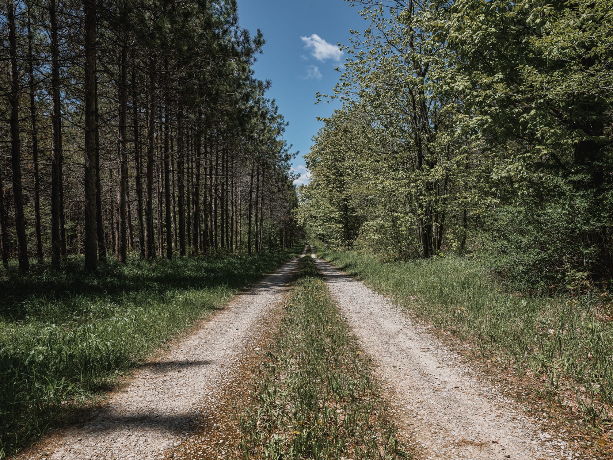 Rural 14