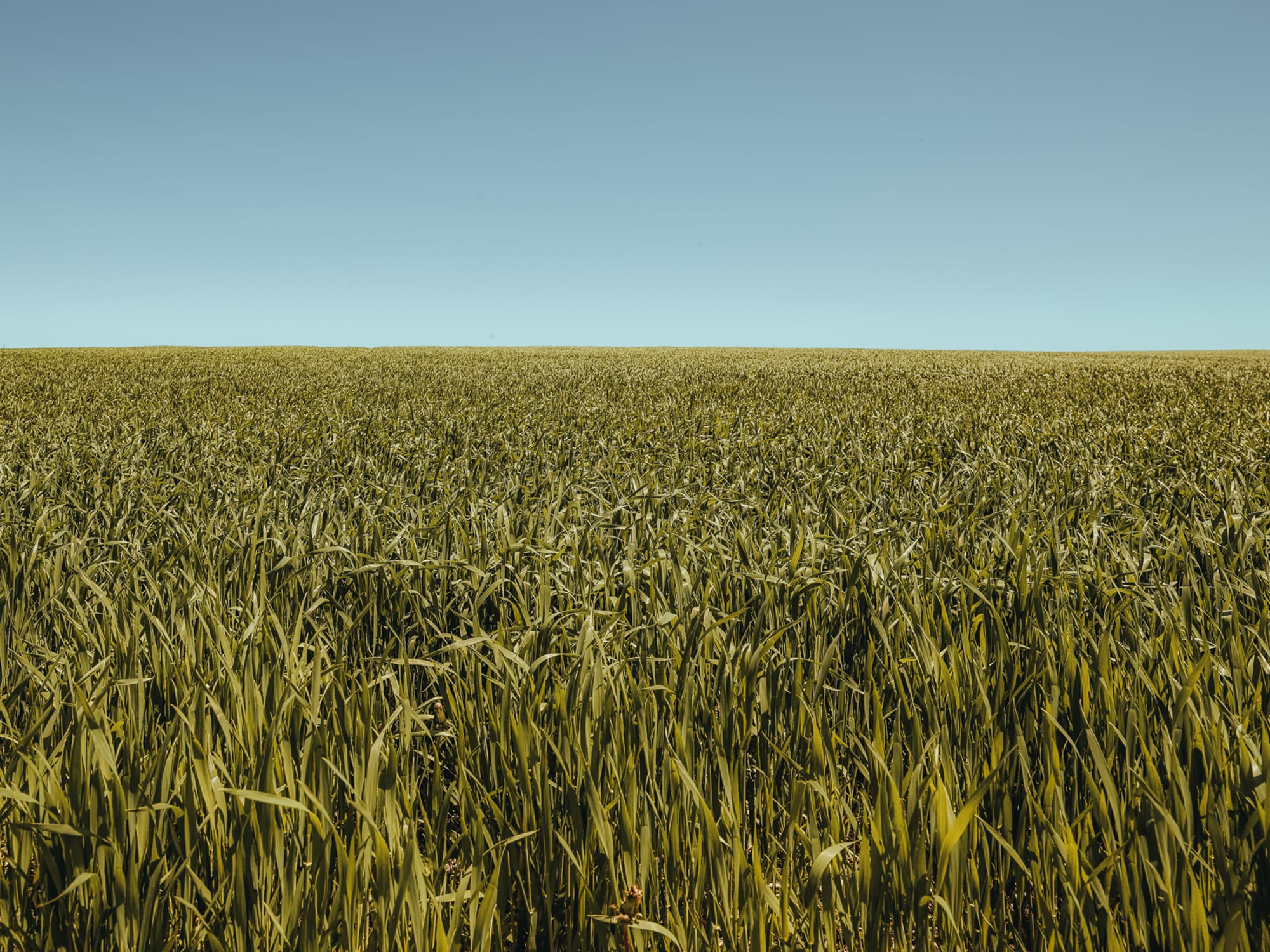 Rural 16