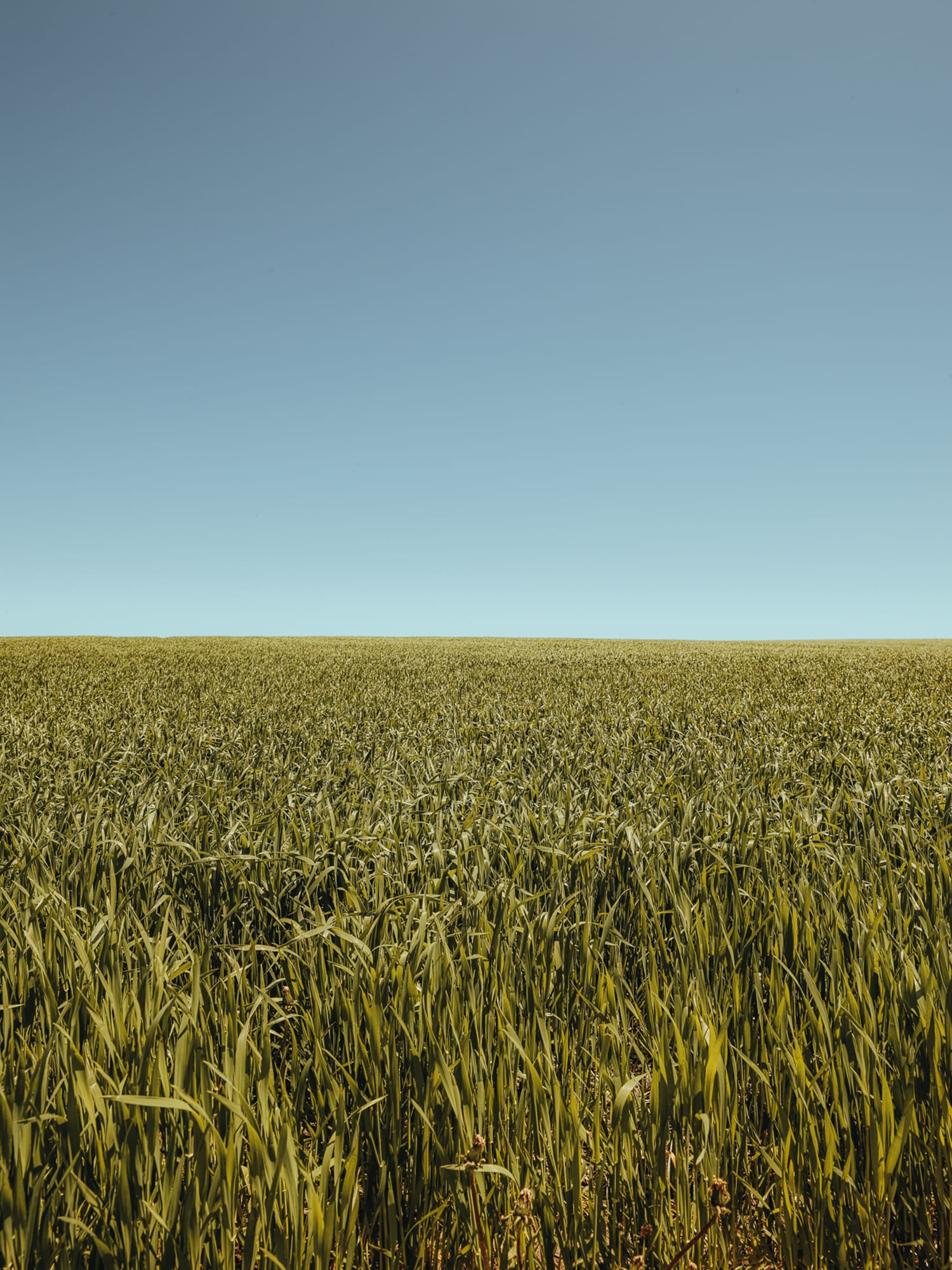 Rural 09