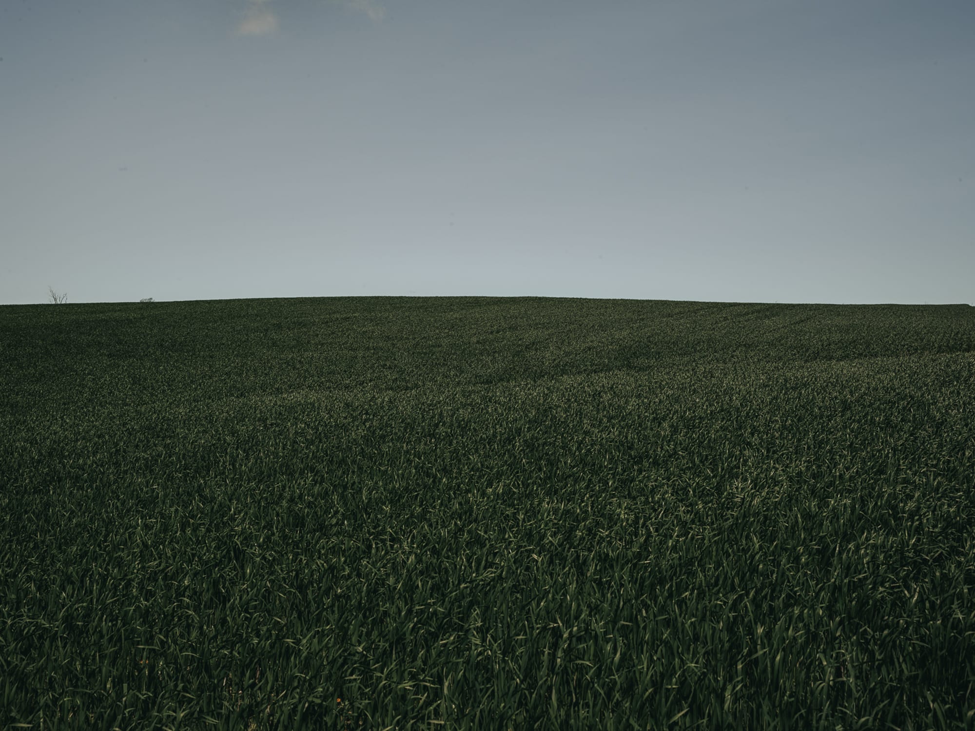 Rural 06