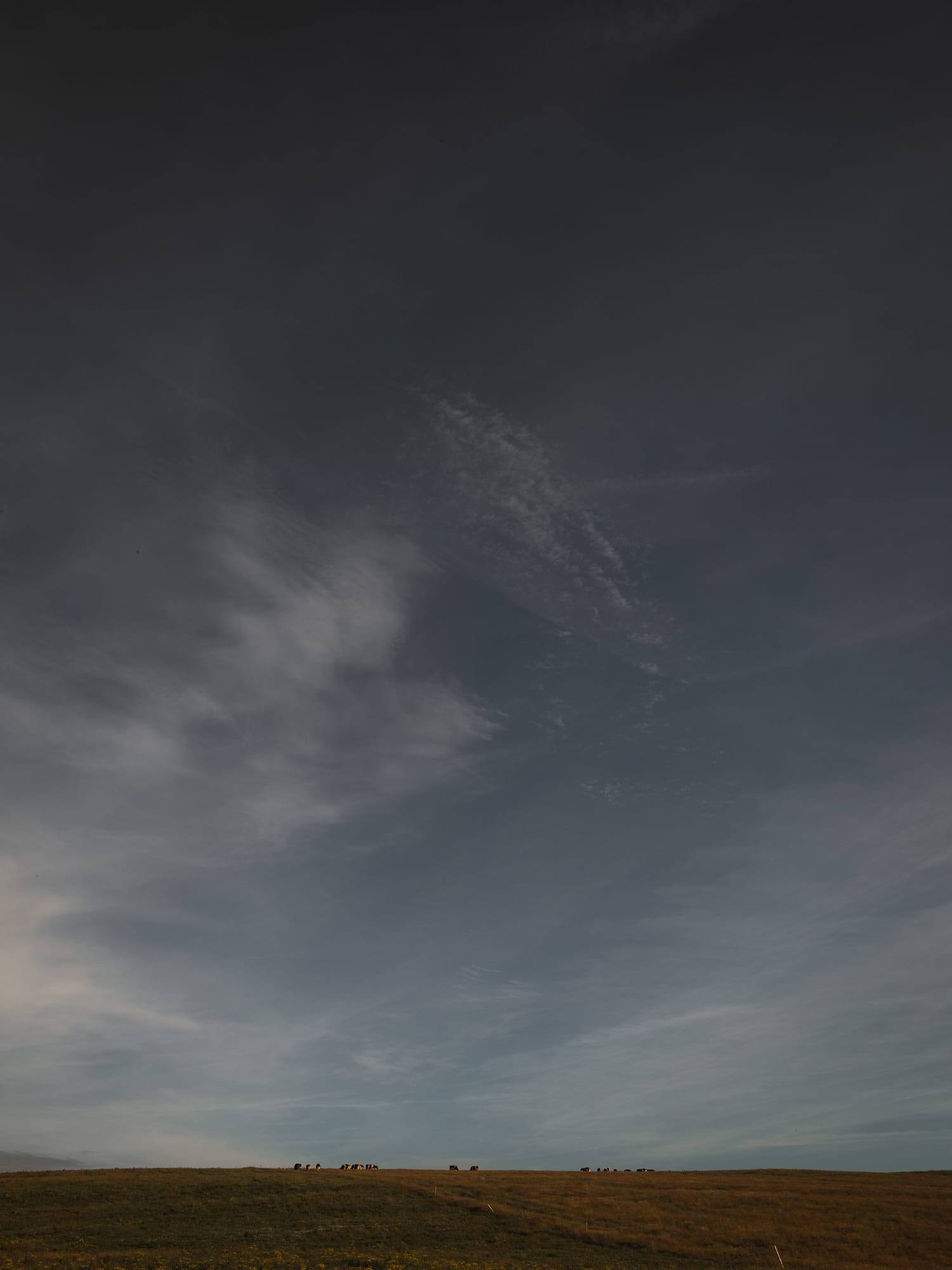 Ireland 10